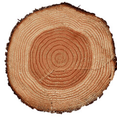 На прослушку