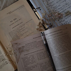 Школьная класика