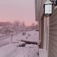 летнее чтение 📚