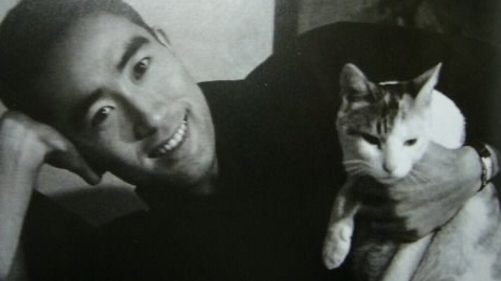 Никогда не прочту 