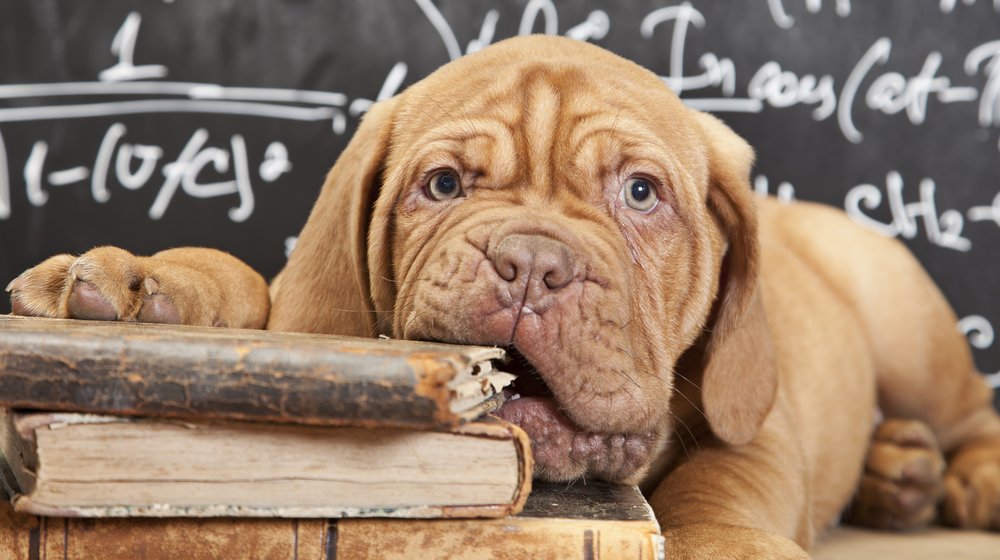 Разное полезное