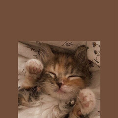 Можно перечитывать ещё (одиночки)