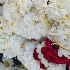 Терпение и сила женщины