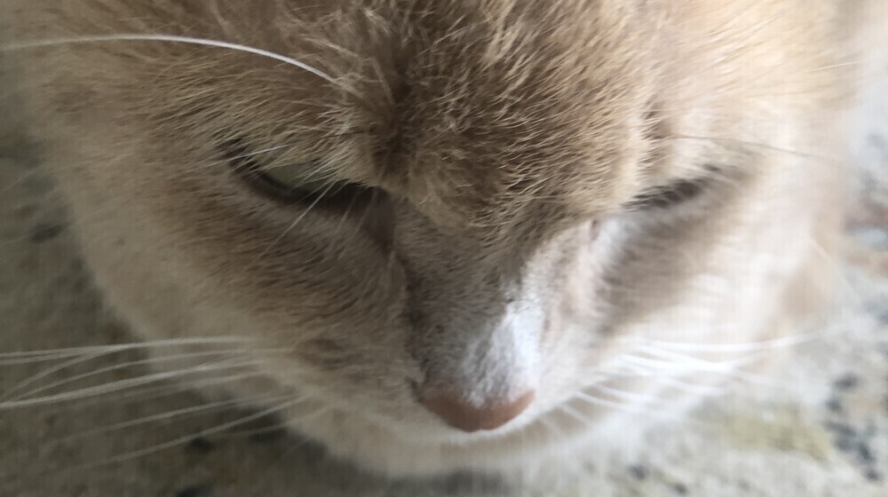 Не знаю как назвать 