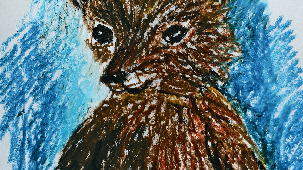 Красивые книги