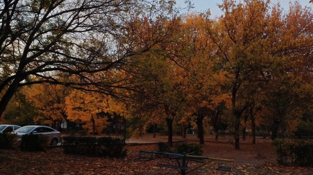 осень2025: прочитанное