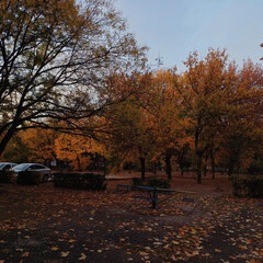 осень2025: прочитанное