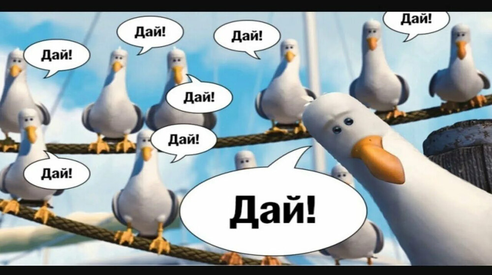 🪿Гуси жизненного порядка🪿