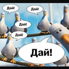 🪿Гуси жизненного порядка🪿