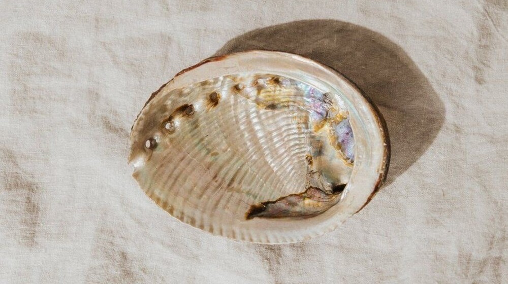 список для чтения [современное]