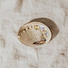 список для чтения [современное]