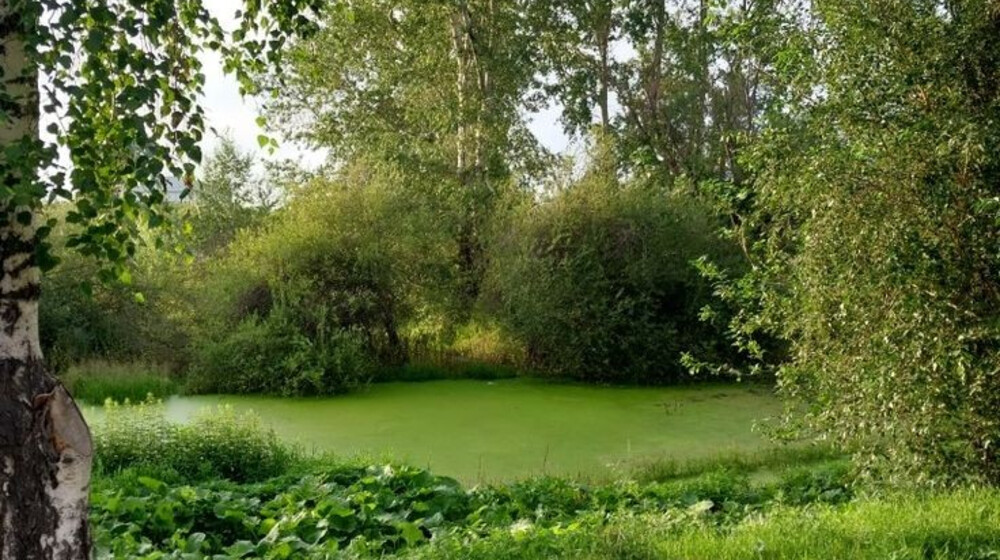 🌊Прочитанные в 2023🌏 году