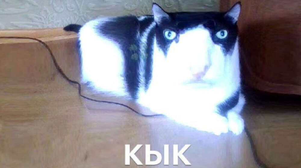 Еб@ное разочарование