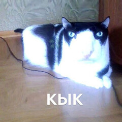 Еб@ное разочарование