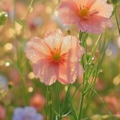 К прочтению 