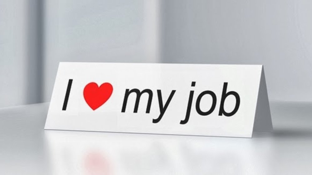 Ищу работу мечты