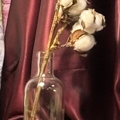 Осень. Хочется теплых объятий 🍁