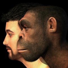 Племя человеческое 