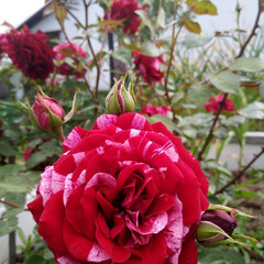 Прочитать осенью