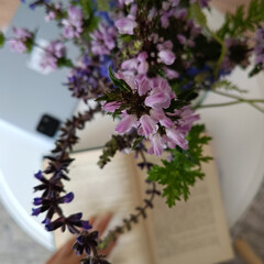 Весна 🌱🌱🌱 2026 год