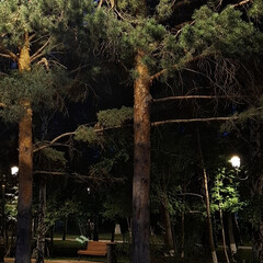 Барбара Хэмбли
Сезон вампиров.