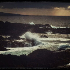 «Вы у меня первый и последний. Вам этого мало?»
