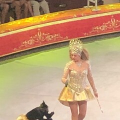 Детство. О детях