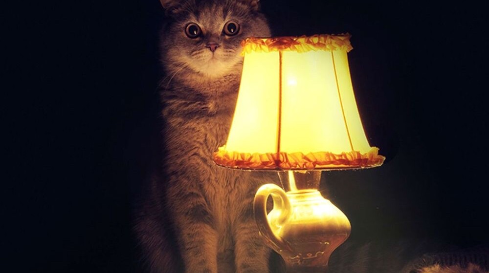 Время историй