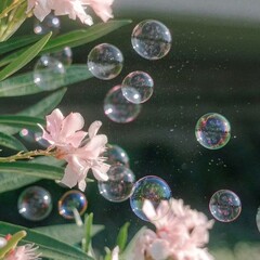 Читала в 2026