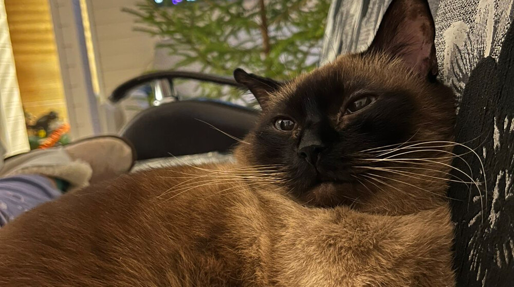 на поражение!