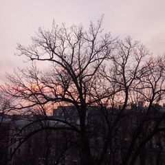 Прочитать