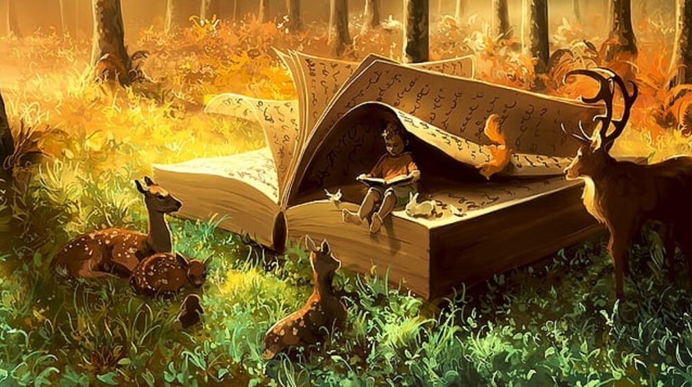 Книги фей контента