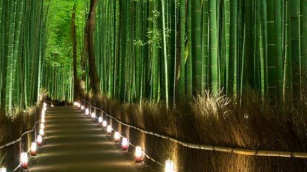 Древняя восточная мудрость: Как пишут азиатские авторы?