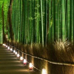 Древняя восточная мудрость: Как пишут азиатские авторы?