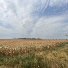 Русская классика