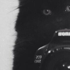 История моды