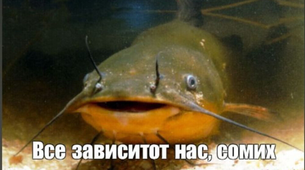 Инструменты для работы. 