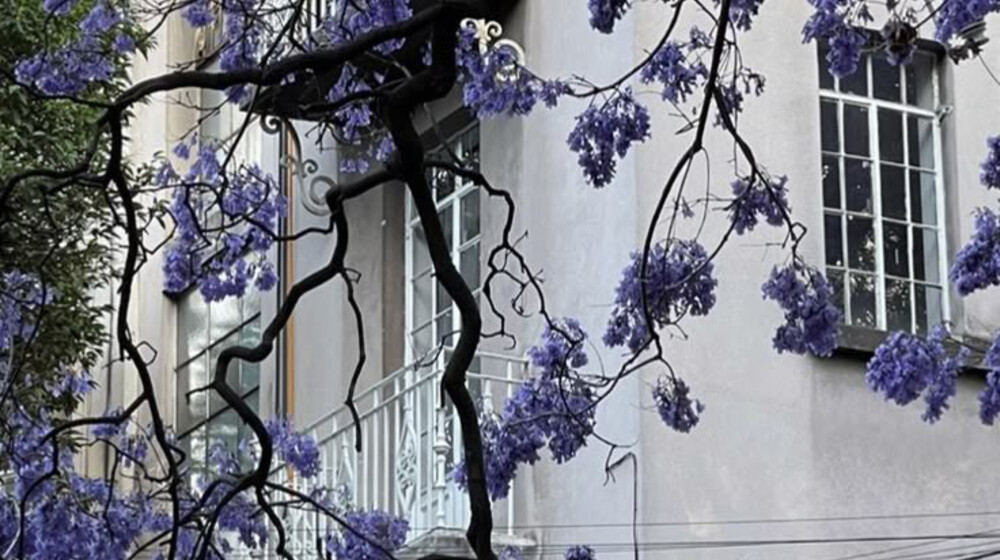 Хочу прочитать