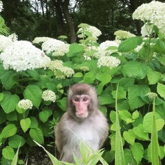 хочу прочитать (проза) 