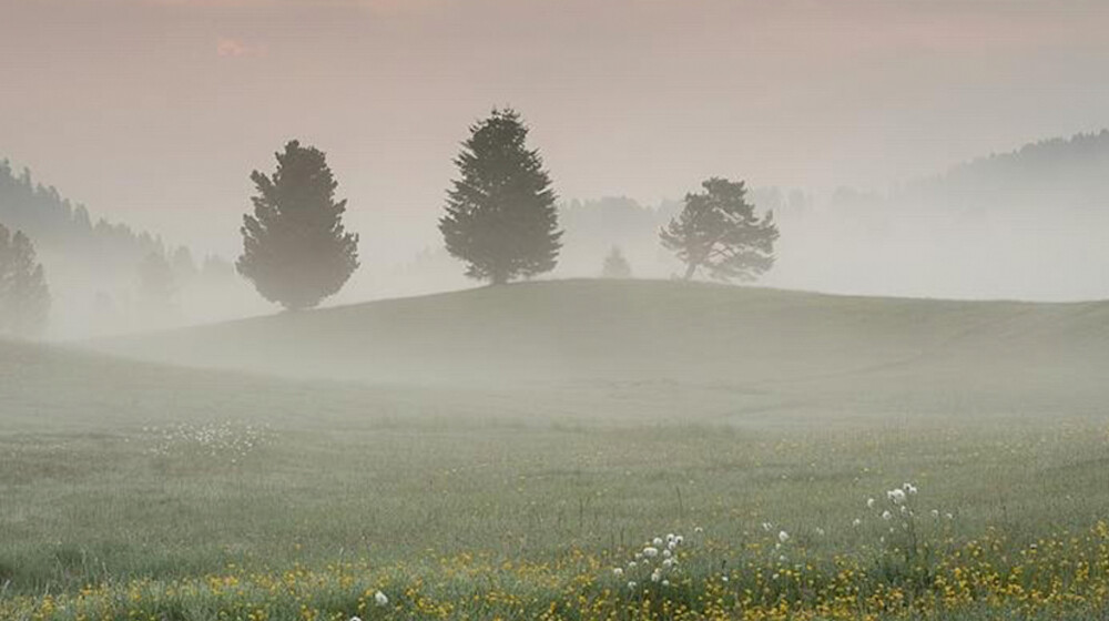Солнечными тропами