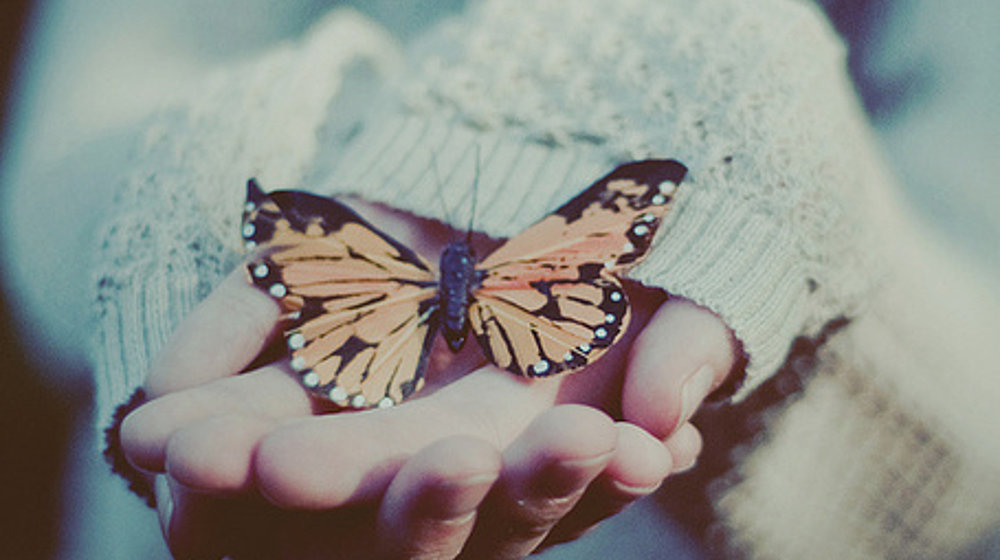 Джейми Макгвайр