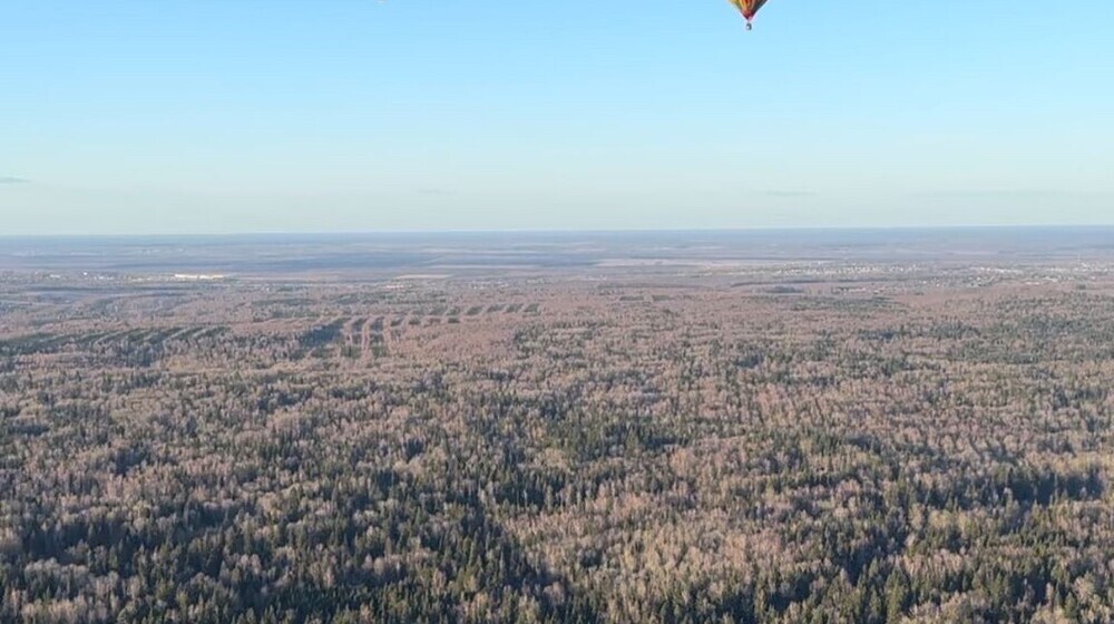 Мона Кастен
