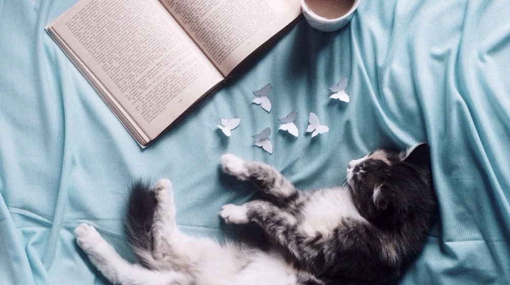 Александр Беляев и фантастика 