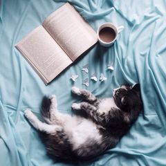 Александр Беляев и фантастика 