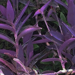 Полки на книге 