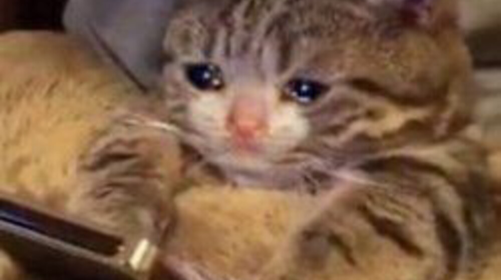 Фанфики мои фанфики