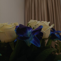 Любимые книги✨