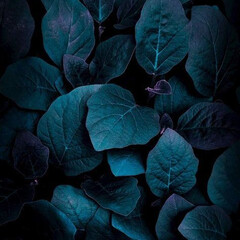 Упражнения