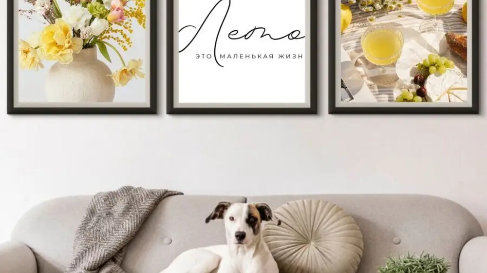 Уютолог 🦭
Организатор пространства🐙