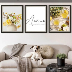 Уютолог 🦭
Организатор пространства🐙